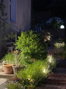 a garden with plants and lights at night at Appartment im Villenviertel in Jena