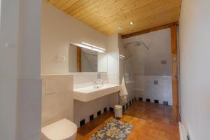 a bathroom with a sink and a toilet and a mirror at Vasekoja Historical House near Setomaa in Möldri