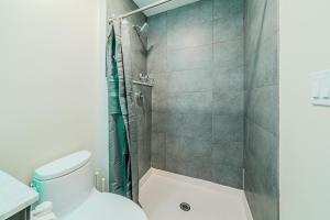 a bathroom with a shower and a white toilet at Beacon Hill Nights in Boston