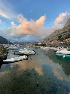 a group of boats are docked in a harbor at Каюта in Kotor +8 photos