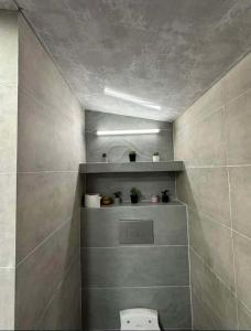 a bathroom with a toilet and a shelf with plants at dom in Tbilisi City