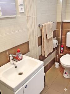 a bathroom with a sink and a toilet at Lipták Vendégház in Balatonfüred +18 photos