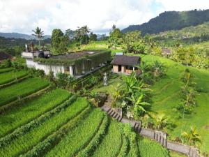 an aerial view of a house in a green field at Chez Lepusa in Sidemen