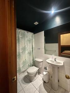 a bathroom with a toilet and a sink at Da Vinci in Valparaíso