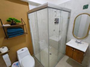 a bathroom with a shower and a toilet and a sink at Villa Del Mar 14 in Antón Lizardo