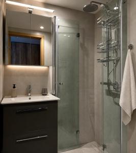 a bathroom with a sink and a shower at Emajõe Apartments in Tartu