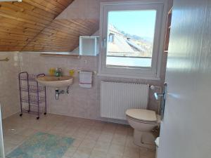 a bathroom with a toilet and a sink and a window at Apartmaji Marinka Hodnik in Bohinj