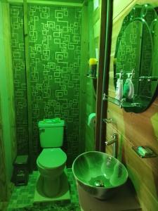 a bathroom with a green toilet and a sink at Greenhouse in Almirante +5 photos