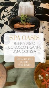 a plant in a pot on top of a table at Pousada Spa Oasis in Caraíva