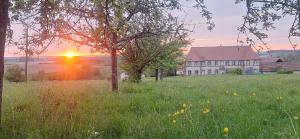 a field of grass with a house in the background at Chateau de Gendersberg in Hanviller
