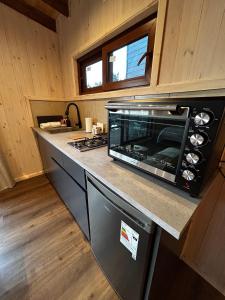 a kitchen with a stove and a counter with a microwave at Piedra Amarilla Tiny House in Curanipe