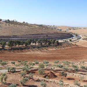 an aerial view of a desert with trees and a road at مزرعة نسيم جرش in Irbid