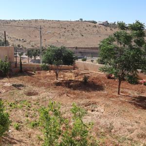 a garden with trees and a hill in the background at مزرعة نسيم جرش in Irbid