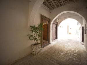 an empty hallway with a potted plant in an archway at Riad Nostalgie of Tetouan in Tétouan