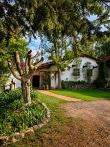 a house with a tree in front of it at Chalet Ojo de Agua in Jilotepec de Abasolo