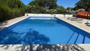 a swimming pool with blue water in a yard at Branca Countryside Retreat in Coruche