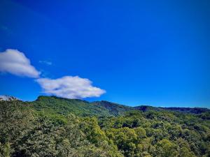 auliculiculiculiculiculiculiculiculiculiculiculiculiculiculic at Fong Chou Chalet in Sanyi