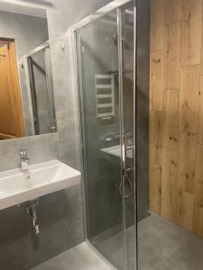 a bathroom with a shower and a sink at U Wajdy in Małe Ciche +54 photos