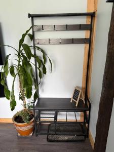 a black bench sitting next to a plant at Pine Marten Wilderness Cabin - Hot Tub & Mountain Views in Golden