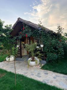 a small house with plants in front of it at Cabana Sorina in Corbu