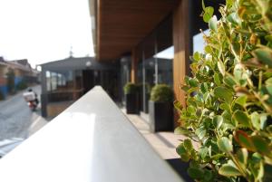 a close up of a building with a plant at Hann Hotel in Istanbul