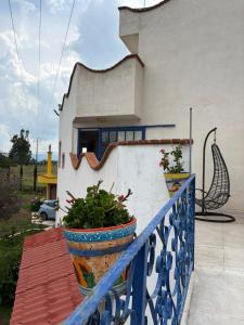 two potted plants on a blue railing on a house at Hotel Casa Don Marcos in Ixtafiayuca