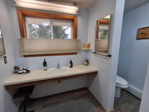 a bathroom with a sink and a toilet at Hunter's Haven in Haines +19 photos