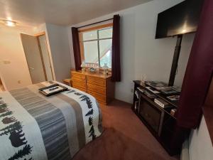 a bedroom with a bed and a sink and a television at Hunter's Haven in Haines