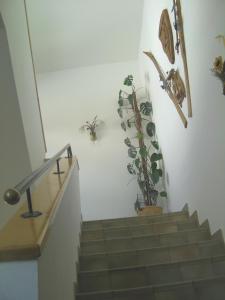 Galeriebild der Unterkunft Haus Bergfried in Filzmoos