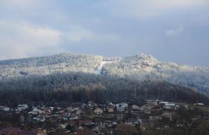 Blick auf eine Stadt mit einem Berg im Hintergrund in der Unterkunft Ferienwohnung Bauer-Power in Bodenmais