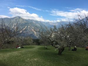 Paesaggio naturale nelle vicinanze della stanza in casa privata