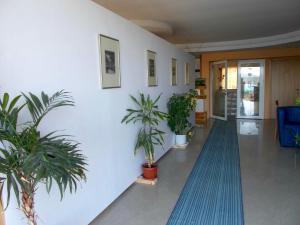 a hallway with potted plants in a building at Safo Apartments and Rooms in Sozopol
