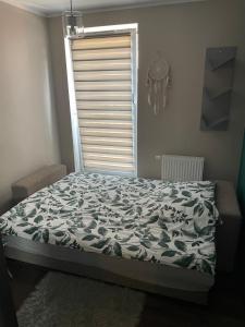 a bed in a bedroom with a window at Apartament pod dębami in Trzcianka