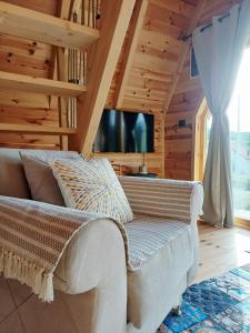 a living room with a couch and a tv at Diva House in Nikšić