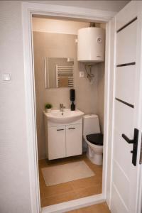 a bathroom with a sink and a toilet at Apartament X in Przemyśl +3 photos