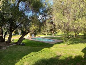 a swimming pool in the middle of a yard with trees at Rondeberg Holiday Resort in Clanwilliam