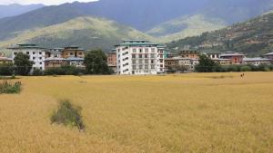 a group of buildings in a field in front of a mountain at Golden Paddyfield in Paro