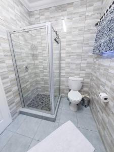 a bathroom with a shower and a toilet at Hippo's Rest in Ellisras
