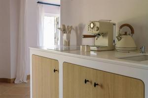 a kitchen counter with a mixer on top of it at Exceptional Apartment In Cannes' Countryside in Spéracèdes