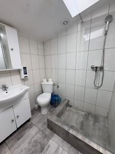 a bathroom with a shower and a toilet and a sink at Andya in Constanţa