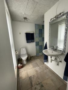 a bathroom with a sink and a toilet and a mirror at Sov Godt i Arnborg Bed & Breakfast in Arnborg