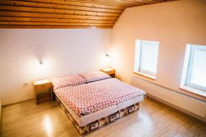 a bedroom with a bed and two windows at Apartmány Bistár in Zuberec