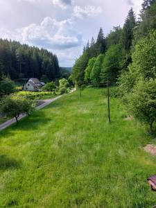 eine grasbewachsene Fläche mit einer Straße und Bäumen in der Unterkunft Only Meadow in Kolárovice