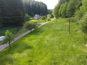 eine leere Straße auf einem grünen Feld neben einem Haus in der Unterkunft Only Meadow in Kolárovice