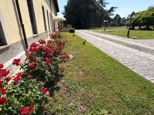 a row of red flowers next to a building at Bes Hotel Bergamo Cologno al Serio in Cologno al Serio