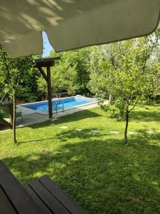 a swimming pool in a yard with a bench at Pensiunea Verde in Baia-Sprie