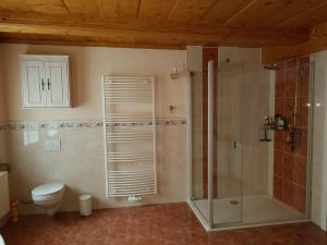 a bathroom with a shower and a toilet at Fewo-Auf-der-Muehlwiese-fuer-4-10-Personen in Großschönau +52 photos