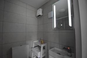 a bathroom with a toilet and a sink and a mirror at High Field Cottage Rosscarbery in Rosscarbery +23 photos