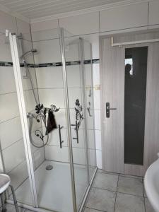 a shower with a glass door in a bathroom at Ferienwohnungen Stollhof in Mehring +45 photos