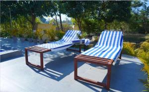 two blue and white chairs sitting on a patio at Blue River Resort in Rāmnagar